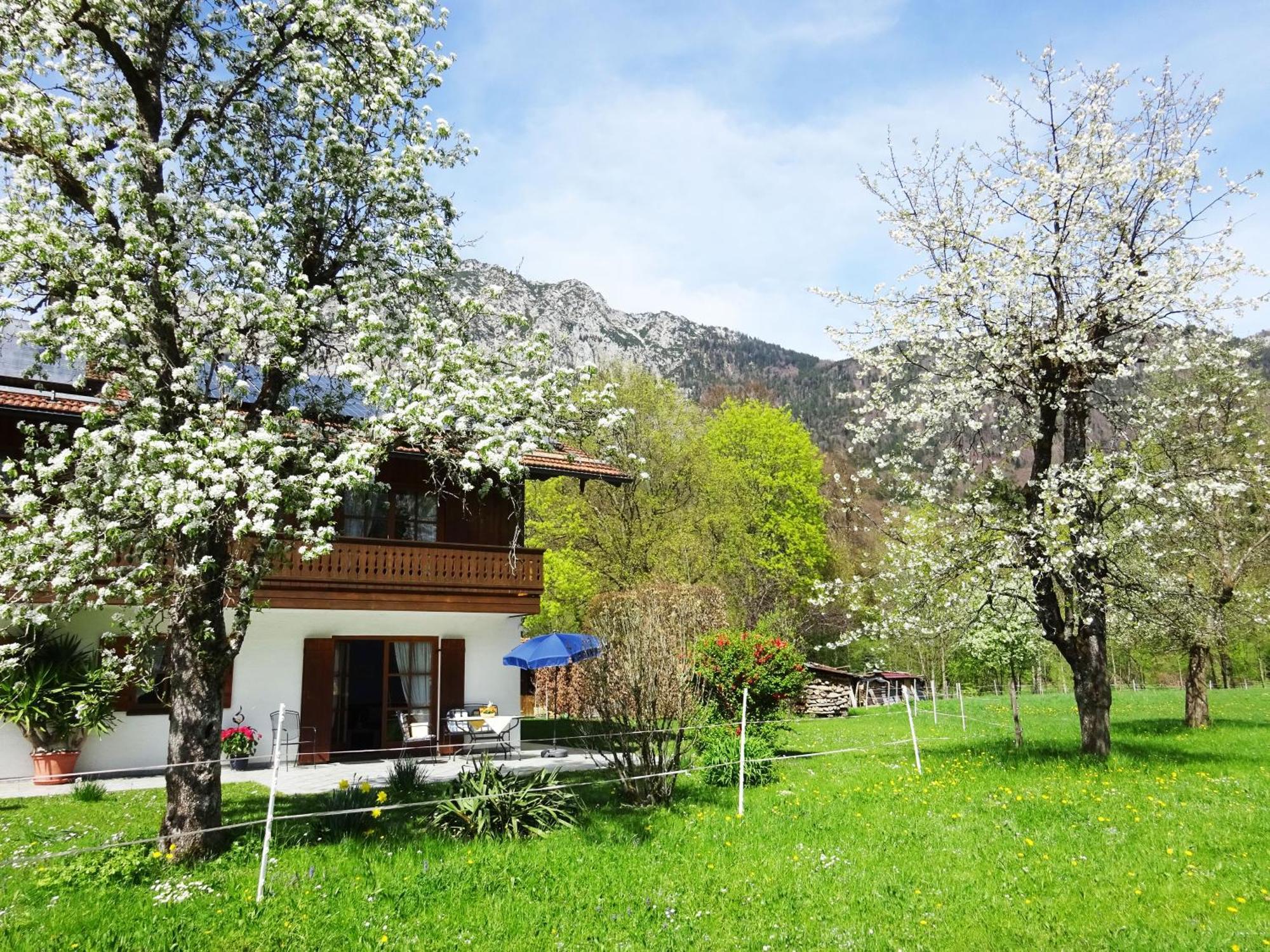 Ferienwohnungen Auhaus باد ريشنهول المظهر الخارجي الصورة